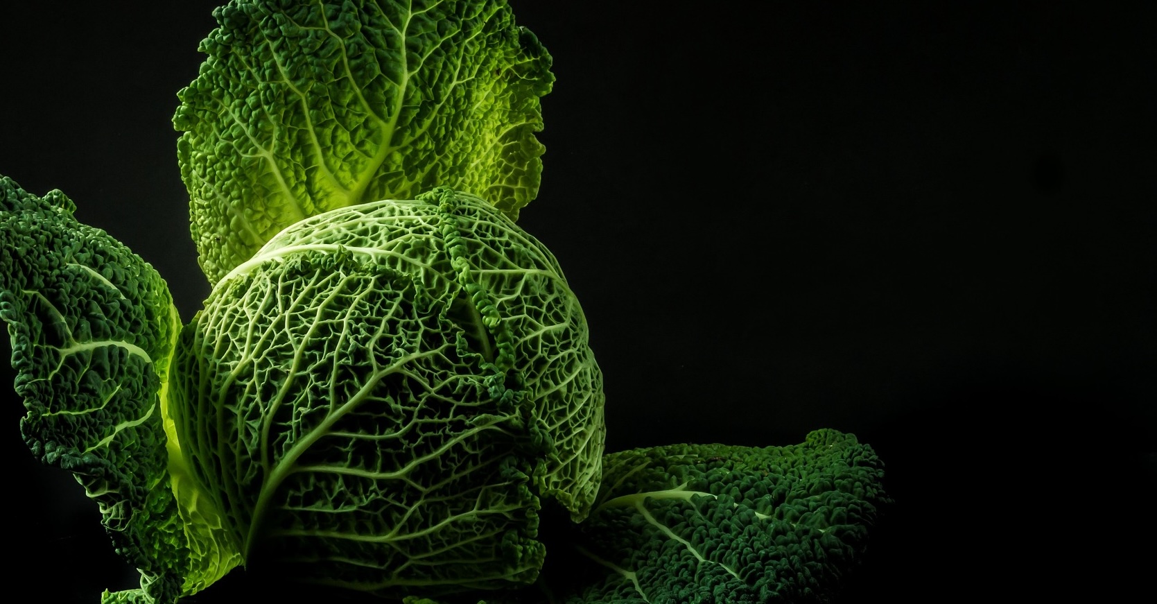 Vitabuddy Hero Image